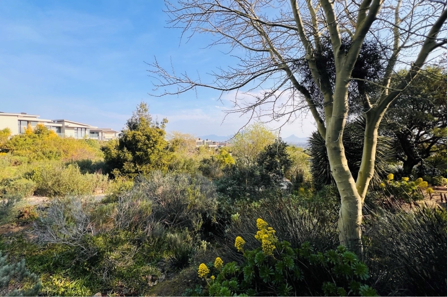 4 Bedroom Property for Sale in Baronetcy Estate Western Cape